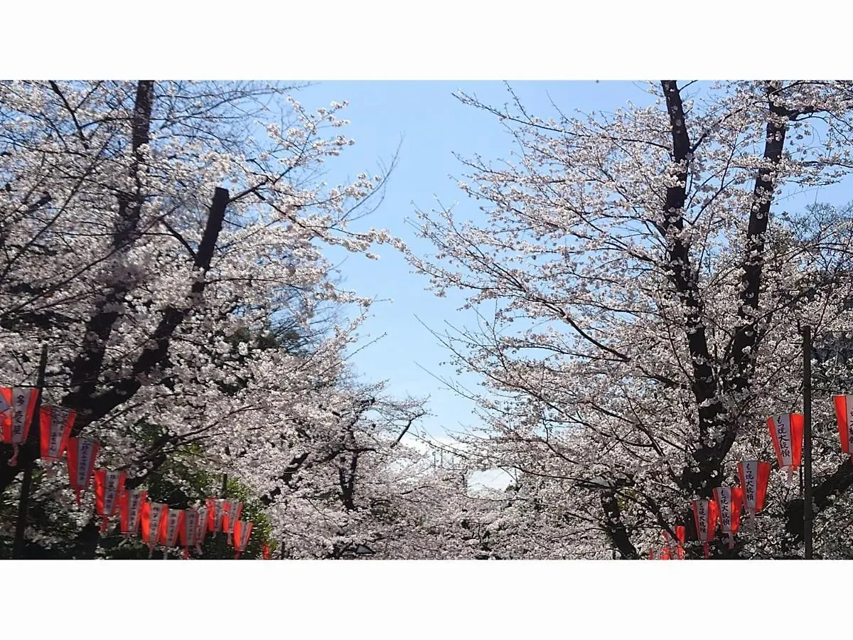 Hotel Sardonyx Ueno Tokyo