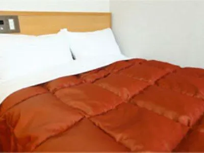 Hotel Sardonyx Ueno Tokyo
